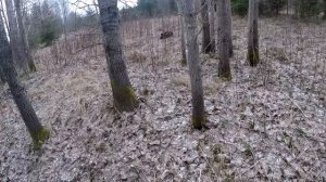 #Коп#Металла. Здесь Стояли Геологи! Коп Металла!