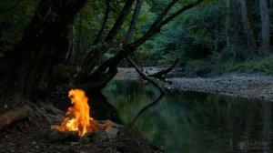 Жуткие истории Dawg'a и его друзей