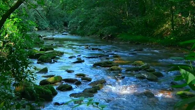 Звуки природы, расслабляющая музыка природы Звуки воды. Медитация смотреть онлайн