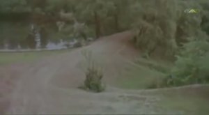 Эх, дороги