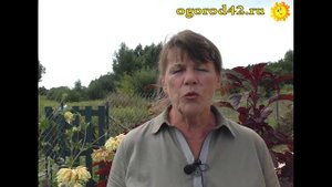 Если на участке нет воды, выход есть