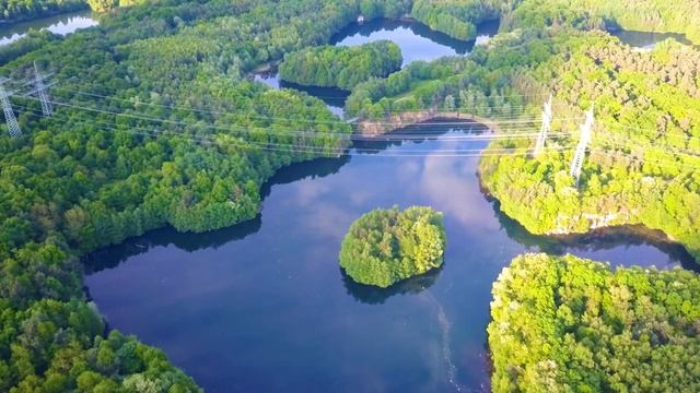 Нежная лечебная музыка полезна для здоровья и успокаивает нервную систему?полезна для сердца