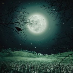 Магия Лунного Света. Музыка бесконечности.Полная релаксация.Душевное равновесие!!!Премьера!!!