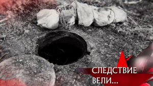 «Убитая мечта» | Фильм из цикла «Следствие вели…» с Леонидом Каневским