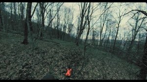 Георадарное сканирование насыпи из булыжника