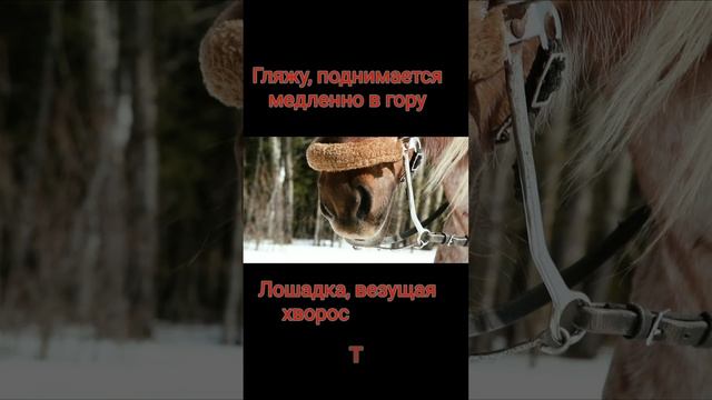 Литературное караоке. слова Н.А.Некрасова "Крестьянские дети" популярнейший отрывок