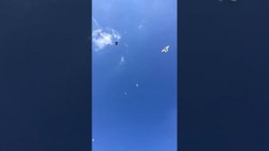 Агасиевские голуби Артака