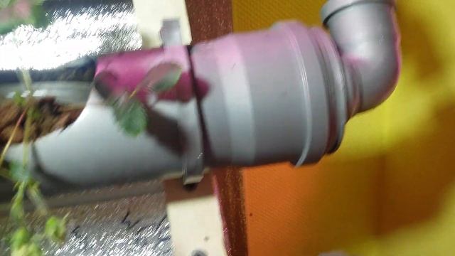 Клубника на гидропонике. Капельный полив клубники в земле. Клубника круглый год смотреть онлайн