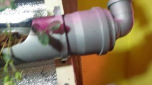 Клубника на гидропонике. Капельный полив клубники в земле. Клубника круглый год