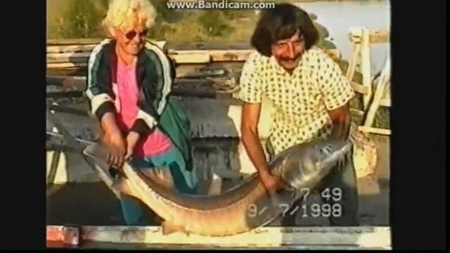 Рыба смотреть онлайн