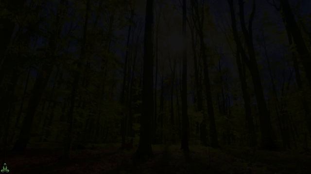 Успокаивающая музыка для нервов #8🌿Звуки леса - Щебетание - Успокаивающая музыка снимает стресс