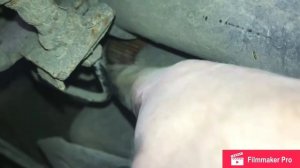 How to lower Peugeot 306 rear torsion bars (ft. the lowest 306)