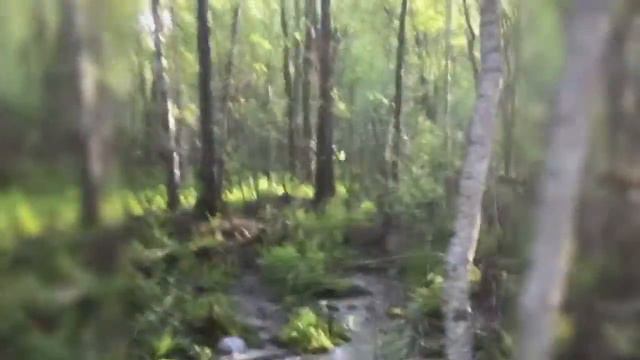 VLOG: #РУЛУК #ДАЧА #2 смотреть онлайн