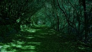 13 сентября - день Душ. Получите поддержку от своего рода.