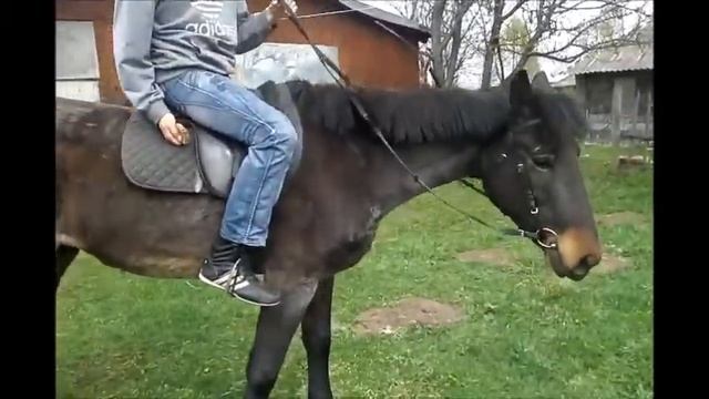 Шипков на Селигере смотреть онлайн