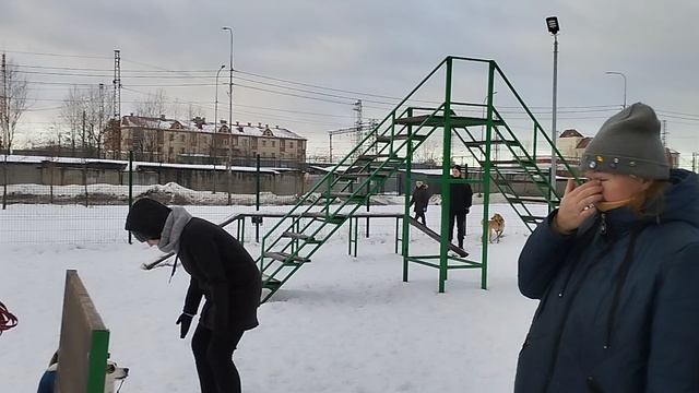 Dogs Training Зоопсихолог ? Жил Был Кинолог ? Моя Жизнь Кино ? Документальный Фильм