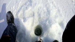 РЫБАЛКА ЗИМОЙ! ПОПАЛИ НА ХАПОК СУДАКА! КОЛЛЕКТИВНЫЙ ВЫЕЗД НА ОВХ, ДЕНЬ 2!