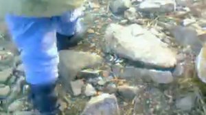 толстолобик  со дна,  на  пружину  ноябрь 2011