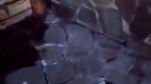 Фундамент из дикаря