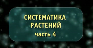 Систематика растений. Часть 4. Семейство пасленовых, сложноцветных злаков, лилейных. Биология