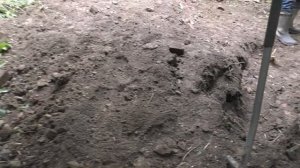 Шурф на старой лесной деревни и множество находок.