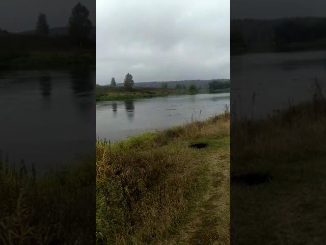 23 сентября 2022 г. смотреть онлайн