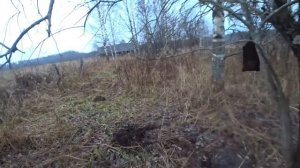 Поиски в Мертвой деревне/ Покинутый Мир/ Приборный поиск в заброшенной деревне/ Метало сбор/