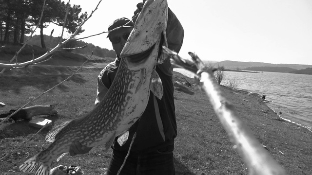 Ловля крокодила. смотреть онлайн