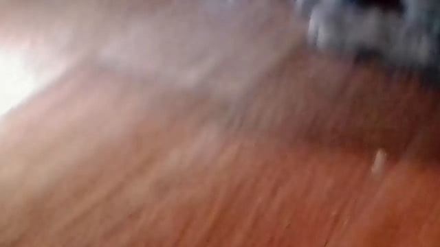 Кот суп есть смотреть онлайн