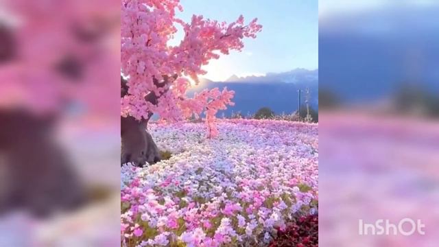 #Ramadan рамазан мубарак Рамадан нашид смотреть онлайн