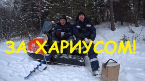 В поисках Хариуса! Зимняя рыбалка в удовольствие на малой Уральской реке!.mp4