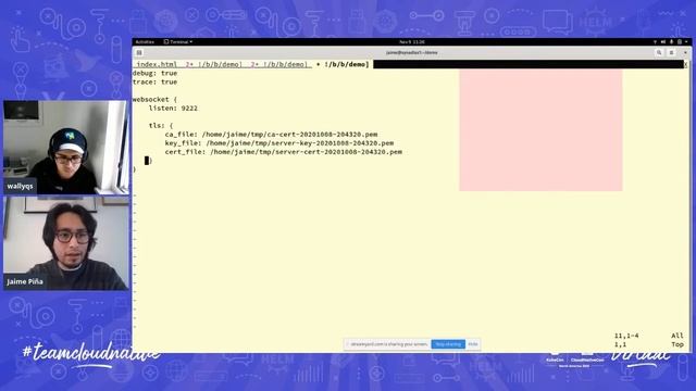 NATS KubeCon Tutorial on Twitch смотреть онлайн