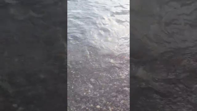 BLACK SEA ADLER TRAVEL ЧЕРНОЕ МОРЕ АДЛЕР СОЧИ ОТДЫХ МОРЕ ВОДА БЕЗМЯТЕЖНОСТЬ ОТПУСК РОЗА ХУТОР