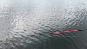 Эстонские Щуки на воблер Makora 130SP Eesti haugid Saadjärvel vobleriga