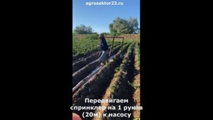 Спринклерное орошение полей. Смотри до конца и узнаешь всю технологию! (Т3110 и 4 Кликера)