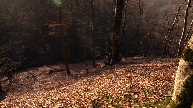 Дуруджи поход тур по следам медведя #поход смотреть онлайн