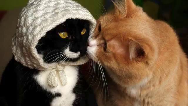 Песня Дорожное Радио. Очень крутая песня. Обожаю! смотреть онлайн