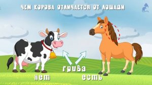 Учим домашних животных. ЧАСТИ ТЕЛА животных.