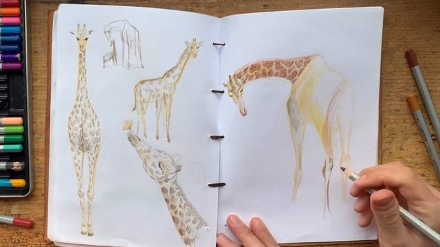 Как нарисовать Жирафов || How to draw Giraffe смотреть онлайн