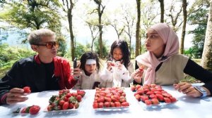 MUKBANG STRAWBERRY SPESIAL 10.000 SUBSCRIBERS!!