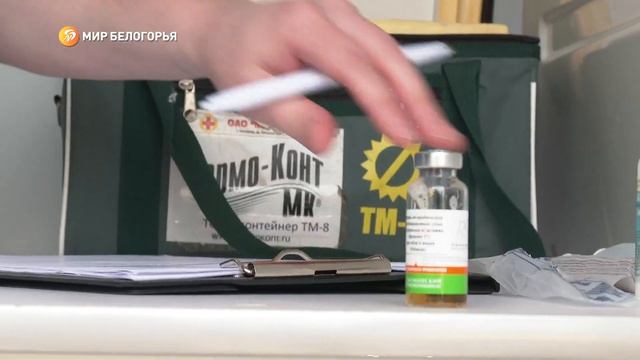 Каждый год около 150 тысяч домашних кошек и собак бесплатно вакцинируют от бешенства смотреть онлайн