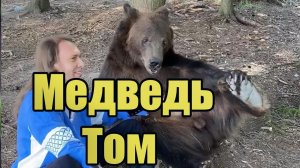 Медведь поймал туристов - фотосессия с животными