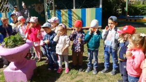 Ласковое солнышко светит на дорожку
