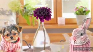 🍊Выздоравливай скорее🍊 Музыкальная открытка