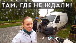 ДУМАЛ, ЧТО ВСЁ ПРОПАЛО, НО ПРИШЁЛ СОСЕД И...Готовим блюдо, полностью из своего хозяйства.
