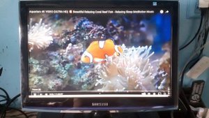 monitor samsung syncmaster t190 (88jet)