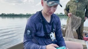 ПОПЕРЛИ АСТРАХАНСКИЕ ТРОФЕИ!!! Астрахань с. Бакланье. Ловля сазана. Рыбалка 2023.