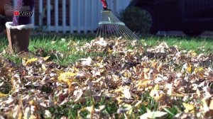 Вот Почему Важно Полить Растения Осенью и Как Правильно Это Сделать!?