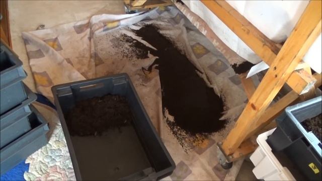 Сепарация малька дендробены смотреть онлайн