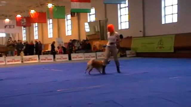 Настя и Тея смотреть онлайн